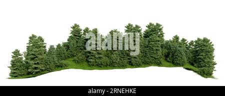 Isolierte grüne Wälder auf weißem Hintergrund mit Schnittpfad, 3D-Illustrationen Rendering Stockfoto