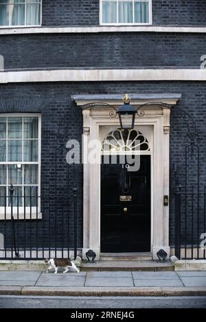 (160624) -- LONDON, 24. Juni 2016 -- Larry die Katze wird am 24. Juni 2016 außerhalb der 10 Downing Street in London gesehen. GROSSBRITANNIEN-LONDON-DOWNING STREET-CAT HanxYan PUBLICATIONxNOTxINxCHN 160624 London 24. Juni 2016 Larry The Cat IS Lakes outside 10 Downing Street in London Großbritannien AM 24. Juni 2016 Großbritannien London Downing Street Cat HanxYan PUBLICATIONxNOTxINxCHN Stockfoto