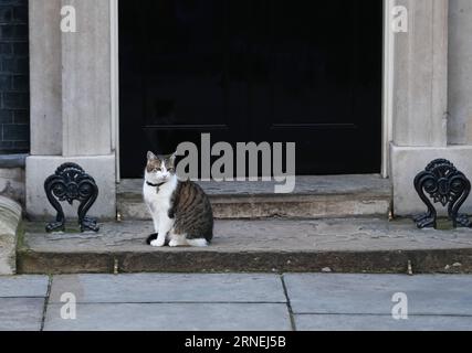 (160624) -- LONDON, 24. Juni 2016 -- Larry die Katze wird am 24. Juni 2016 außerhalb der 10 Downing Street in London gesehen. GROSSBRITANNIEN-LONDON-DOWNING STREET-CAT HanxYan PUBLICATIONxNOTxINxCHN 160624 London 24. Juni 2016 Larry The Cat IS Lakes outside 10 Downing Street in London Großbritannien AM 24. Juni 2016 Großbritannien London Downing Street Cat HanxYan PUBLICATIONxNOTxINxCHN Stockfoto