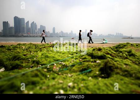 (160624) -- QINGDAO, 24. Juni 2016 () -- der Meeresstrand ist in der Stadt Qingdao, der ostchinesischen Provinz Shandong, von grünen Algen bedeckt. Grünalgen oder Enteromorpha prolifera trafen am Freitag die Küste von Qingdao. () (yxb/zkr) CHINA-SHANDONG-QINGDAO-GRÜNE ALGEN (CN) Xinhua PUBLICATIONxNOTxINxCHN 160624 Qingdao 24. Juni 2016 der Meeresstrand IST von grünen Algen bedeckt in der ostchinesischen Stadt Qingdao-Provinz S Shan Dong PUBLICATIONxNOTxINxCHN Stockfoto