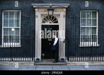 (160624) -- LONDON, 24. Juni 2016 -- Larry die Katze wird am 24. Juni 2016 außerhalb der 10 Downing Street in London gesehen. GROSSBRITANNIEN-LONDON-DOWNING STREET-CAT HanxYan PUBLICATIONxNOTxINxCHN 160624 London 24. Juni 2016 Larry The Cat IS Lakes outside 10 Downing Street in London Großbritannien AM 24. Juni 2016 Großbritannien London Downing Street Cat HanxYan PUBLICATIONxNOTxINxCHN Stockfoto