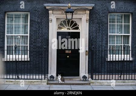 (160624) -- LONDON, 24. Juni 2016 -- Larry die Katze wird am 24. Juni 2016 außerhalb der 10 Downing Street in London gesehen. GROSSBRITANNIEN-LONDON-DOWNING STREET-CAT HanxYan PUBLICATIONxNOTxINxCHN 160624 London 24. Juni 2016 Larry The Cat IS Lakes outside 10 Downing Street in London Großbritannien AM 24. Juni 2016 Großbritannien London Downing Street Cat HanxYan PUBLICATIONxNOTxINxCHN Stockfoto