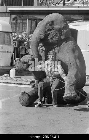 22.-4.-1974: Junior bei LineElephant Tamer Arild Arnardo – jetzt auch als Clown. Er hat die Nummer des weltberühmten „Linon“ mit großem Geschick übernommen. Foto: Ivar Aaserud / aktuell / NTB ***FOTO NICHT VERARBEITET*** dieser Text wurde automatisch übersetzt! Stockfoto