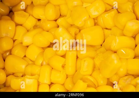 Zuckermais in Dosen - Nahaufnahme von Samen und gesunden Lebensmitteln Stockfoto