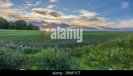 Die letzten Sonnenstrahlen, die ein Heufeld im Norden Wisconsins erleuchten. Stockfoto