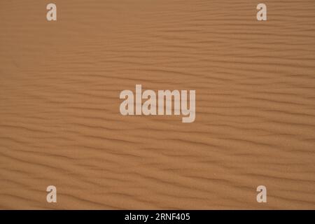 Blick in die Sahara Wüste von Tadrart rouge tassili najer in Djanet City, Algerien. Farbenfroher oranger Sand, felsige Berge Stockfoto