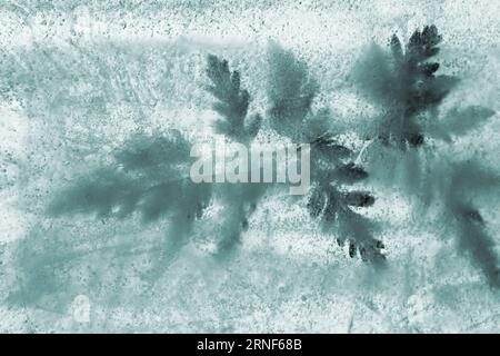 Pflanzen, die innerhalb eines Eisblocks gefroren sind, Luftblasenstruktur Stockfoto