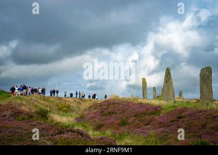 Stromness, Orkney, Schottland, Großbritannien. September 2023. Amerikanische Touristen, die Kreuzfahrtschiffe besuchen, die in Kirkwall anliegen, besuchen den Ring of Brodgar, den neolithischen Steinkreis auf Orkney. Die Einheimischen haben Bedenken geäußert, dass Kreuzfahrtschiffe zu viele Touristen auf die Inseln bringen und die derzeitige Infrastruktur nicht ausreicht. Iain Masterton/Alamy Live News Stockfoto