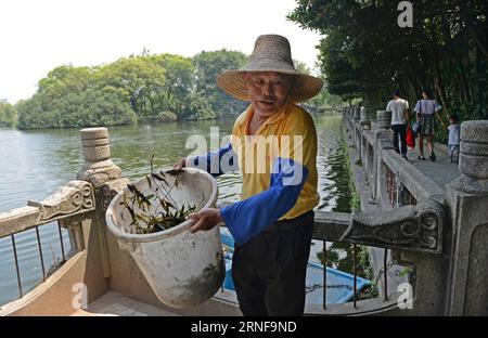 (160726) -- NANCHANG, 26. Juli 2016 -- Xiong Quande transportiert neu gesammelten Müll auf das Ufer des Donghu Lake of Bayi Park in Nanchang, Ostchinesische Provinz Jiangxi, 26. Juli 2016. Der 66-jährige Xiong Quande arbeitet seit 12 Jahren als Sanitäter im Park. Man nannte ihn Schönheitspfleger des Donghu-Sees. )(mcg) CHINA-NANCHANG-DONGHU LAKE-SANITATION WORKER (CN) WanxXiang PUBLICATIONxNOTxINxCHN 160726 Nanchang Juli 26 2016 Xiong transportiert neu gesammelten Müll auf die Bank des Donghu Lake of Bayi Park in der ostchinesischen Provinz Nanchang S Jiangxi im Juli 26 2016 im Jahr 66 Stockfoto