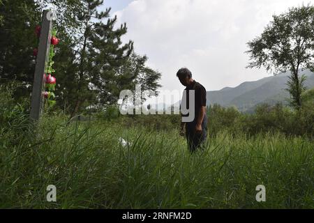 (160815) -- TAIYUAN, 15. August 2016 -- Zhang Shuangbing, ein Dorflehrer, der sich freiwillig dazu beworben hat, das Leiden und Leben überlebender Trostfrauen in China für 34 Jahre zu untersuchen, steht vor einem Grab der verstorbenen Frau Wan Aihua, die während des Zweiten Weltkriegs in der nordchinesischen Provinz Shanxi, 5. August 2016, als Trostfrau dienen musste. Am Montag jährte sich die bedingungslose Kapitulation Japans am Ende des Zweiten Weltkriegs zum 71. Mal Etwa 400.000 Frauen in Asien wurden während des Zweiten Weltkriegs zu Trostfrauen für die japanische Armee gemacht, von denen laut einer Studie fast die Hälfte Chinesen sind Stockfoto