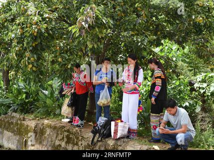 (160817) -- DAYAO, 16. August 2016 -- Menschen ruhen sich unter einem Baum im Dorf Shuijing Yi unter der Stadt Liuju im Kreis Dayao, autonome Präfektur Chuxiong Yi, Provinz Yunnan im Südwesten Chinas, 16. August 2016. Die Kommunalbehörden haben in den letzten Jahren große Anstrengungen unternommen, um die Wohnbedingungen, die Umwelt sowie die wirtschaftlichen Einkommen der Dorfbewohner zu verbessern. ) (mp) CHINA-YUNNAN-YI ETHNIC GROUP VILLAGE (CN) YangxZongyou PUBLICATIONxNOTxINxCHN 160817 Dayao Aug 16 2016 Prominente ruhen sich unter einem Baum im Dorf Shuijing Yi unter der Stadt Dayao County Chuxiong Yi Autonome Präfektur Stockfoto