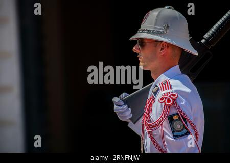 Ein Soldat auf einer Parade vor dem Fürstenpalast, Palais Princier, Monaco-Ville, Monaco, Frankreich Stockfoto