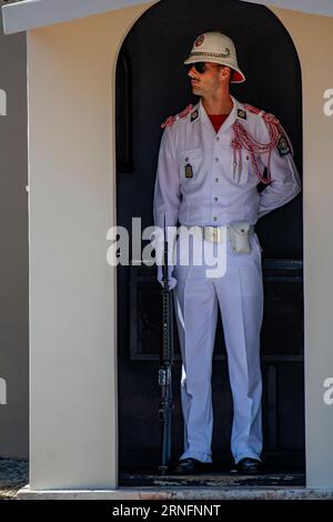 Ein Soldat auf einer Parade vor dem Fürstenpalast, Palais Princier, Monaco-Ville, Monaco, Frankreich Stockfoto