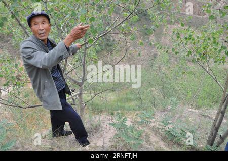 (160824) -- TONGWEI, 24. August 2016 -- Xu Zhiqiang, 68, erzählt von seinen Erfahrungen beim Pflanzen von Bäumen auf Bergen im Dorf Zhangchuan im Kreis Tongwei, Provinz Gansu im Nordwesten Chinas, 23. August 2016. Xu Zhiqiang und sein Zwillingsbruder Xu Zhigang haben 48 Jahre lang freiwillig Bäume auf kargen Hügeln auf dem Loess Plateau gepflanzt. Mehr als 350 mu (23 Hektar) karges Land haben sich mit ihrer Plantage von über 80.000 Bäumen und Blumen grün gemacht. Die Bemühungen der Brüder tragen nicht nur dazu bei, natürliche Schönheit zu schaffen, sondern verbessern auch die lokale ökologische Umwelt. Guo Gang) (ry) CHINA-GANSU-ALTE MÄNNER-BAUMPLAN Stockfoto