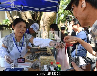 (160903) -- HANGZHOU, 3. September 2016 -- Journalisten, die über den Gipfel der Gruppe der 20 (G20) berichten, haben ein Interview im Dorf Dipu im Kreis Tonglu in Hangzhou, der Hauptstadt der ostchinesischen Provinz Zhejiang, 3. September 2016. Der 11. G20-Gipfel findet vom 4. Bis 5. September in Hangzhou statt. Das Interview wird vom Medienzentrum des G20-Gipfels organisiert. )(mcg) (G20-GIPFEL)CHINA-HANGZHOU-G20-MEDIA (CN) LixHe PUBLICATIONxNOTxINxCHN 160903 Hangzhou 3. September 2016 Journalisten, die über den G20-Gipfel berichten, haben im Dorf Dipu im Kreis Tonglu in Hangzhou, Hauptstadt der ostchinesischen Provinz S Zhejiang, 3. September ein Interview zu führen Stockfoto