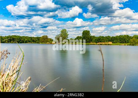 Wunderschöne Landschaft an bewölkten Tagen mit fließendem Fluss vor grünen Bäumen und Büschen, die von der Küste hinter hohen gelben Grashalmen gesehen werden Stockfoto