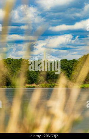 Wunderschöne Landschaft am bewölkten Tag mit fließendem Fluss vor grünen Bäumen und Büschen mit der Spitze der hohen Brücke darüber, die von hinten gesehen wird Stockfoto