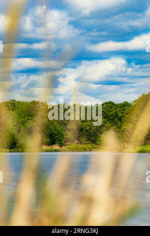 Wunderschöne Landschaft am bewölkten Tag mit fließendem Fluss vor grünen Bäumen und Büschen mit der Spitze der hohen Brücke darüber, die von hinten gesehen wird Stockfoto