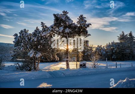 Winterlandschaft auf Godøy, Ålesund, Norwegen Stockfoto