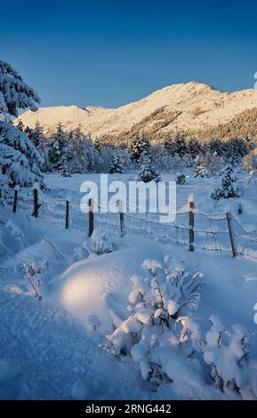 Winterlandschaft auf Godøy, Ålesund, Norwegen Stockfoto