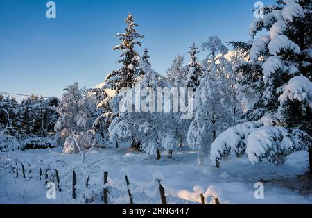 Winterlandschaft auf Godøy, Ålesund, Norwegen Stockfoto