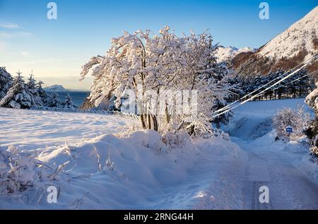 Winterlandschaft auf Godøy, Ålesund, Norwegen Stockfoto