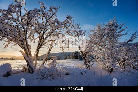 Winterlandschaft auf Godøy, Ålesund, Norwegen Stockfoto