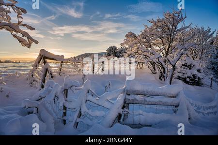 Winterlandschaft auf Godøy, Ålesund, Norwegen Stockfoto