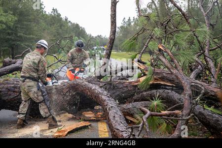 Live Oak, Usa. August 2023 31. Soldaten der US-Armee mit der Florida National Guard, 868 Engineer Company, verwenden Kettensägen, um umgestürzte Bäume nach dem Hurrikan Idalia am 31. August 2023 im Suwanee County, Florida, zu zerschlagen. Anrede: Sgt. Spencer Rhodes/US Army/Alamy Live News Stockfoto