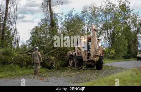 Live Oak, Usa. August 2023 31. Soldaten der US-Armee mit der Florida National Guard, 868 Engineer Company, nutzen einen Bagger, um Bäume nach dem Hurrikan Idalia am 31. August 2023 im Suwanee County, Florida, zu säubern. Anrede: Sgt. Spencer Rhodes/US Army/Alamy Live News Stockfoto