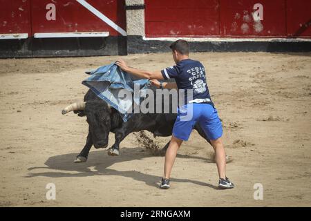 Madrid, Spanien. September 2023. Ein junger Mann weicht einem Stier während des Stierkampfes im Sand des Stierkampfes aus, nachdem der Lauf der Stiere durch die Straßen der Stadt vorbei war. An diesem Freitag, dem fünften Tag der Stiere der Stiere der Volksfeste von San Sebastián de los Reyes 2023, fand der fünfte Tag statt. 1.400 Teilnehmer nahmen Teil und die Stiere der Zalduendo-Ranch waren anwesend und jagten die Läufer über 820 Meter. (Foto: David Canales/SOPA Images/SIPA USA) Credit: SIPA USA/Alamy Live News Stockfoto