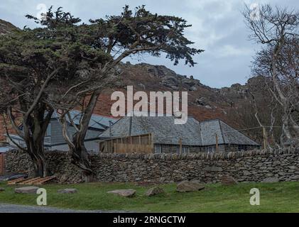 Ferienhaus hinter einer Steinmauer mit knorrigen Bäumen im Winter Stockfoto