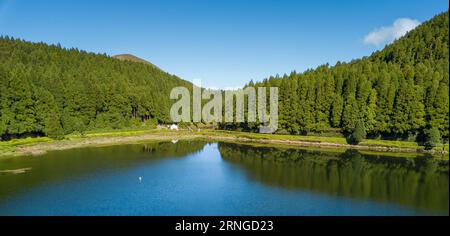 Panoramablick auf den See von Empadadas (Lagoa das Empadadas), umgeben von Kryptomeriebäumen, an einem wunderschönen Sommertag. Sete Cidades Sao Miguel Azoren Stockfoto