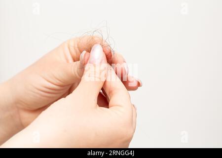 Makro einer Hand einer Frau mit Haarausfall, isoliert auf weißem Hintergrund. Massivhaarverlustproblem-Konzept. Stockfoto