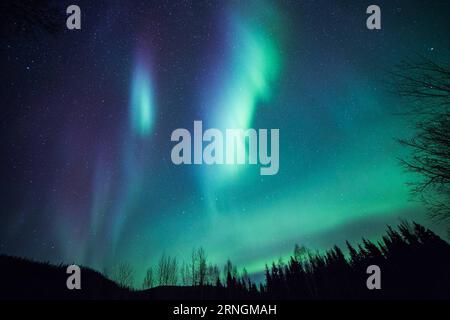 Nordlichter über Alaska (161005) -- ALASKA, 5. Oktober 2016 -- die Aurora Borealis oder Nordlichter beleuchten den Nachthimmel über dem Chena River State Recreation Area in der Nähe von Fairbanks, Alaska, USA, am 5. Oktober 2016. ) U.S.-ALASKA-AURORA LixChangxiang PUBLICATIONxNOTxINxCHN Nordlichter über Alaska Alaska OCT 5 2016 die Aurora Borealis oder Nordlichter beleuchten den Nachthimmel über dem Chena River State Recreation Area bei Fairbanks Alaska den Vereinigten Staaten AM OCT 5 2016 US Alaska Aurora LixChangxiang PUBLICATIONxNOTxINxCHN Stockfoto