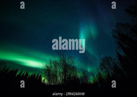 Nordlichter über Alaska (161005) -- ALASKA, 5. Oktober 2016 -- die Aurora Borealis oder Nordlichter beleuchten den Nachthimmel über dem Chena River State Recreation Area in der Nähe von Fairbanks, Alaska, USA, am 5. Oktober 2016. ) U.S.-ALASKA-AURORA LixChangxiang PUBLICATIONxNOTxINxCHN Nordlichter über Alaska Alaska OCT 5 2016 die Aurora Borealis oder Nordlichter beleuchten den Nachthimmel über dem Chena River State Recreation Area bei Fairbanks Alaska den Vereinigten Staaten AM OCT 5 2016 US Alaska Aurora LixChangxiang PUBLICATIONxNOTxINxCHN Stockfoto