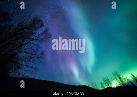 Nordlichter über Alaska (161005) -- ALASKA, 5. Oktober 2016 -- die Aurora Borealis oder Nordlichter beleuchten den Nachthimmel über dem Chena River State Recreation Area in der Nähe von Fairbanks, Alaska, USA, am 5. Oktober 2016. ) U.S.-ALASKA-AURORA LixChangxiang PUBLICATIONxNOTxINxCHN Nordlichter über Alaska Alaska OCT 5 2016 die Aurora Borealis oder Nordlichter beleuchten den Nachthimmel über dem Chena River State Recreation Area bei Fairbanks Alaska den Vereinigten Staaten AM OCT 5 2016 US Alaska Aurora LixChangxiang PUBLICATIONxNOTxINxCHN Stockfoto