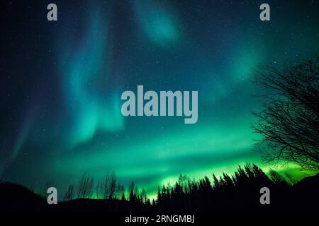 Nordlichter über Alaska (161005) -- ALASKA, 5. Oktober 2016 -- die Aurora Borealis oder Nordlichter beleuchten den Nachthimmel über dem Chena River State Recreation Area in der Nähe von Fairbanks, Alaska, USA, am 5. Oktober 2016. ) U.S.-ALASKA-AURORA LixChangxiang PUBLICATIONxNOTxINxCHN Nordlichter über Alaska Alaska OCT 5 2016 die Aurora Borealis oder Nordlichter beleuchten den Nachthimmel über dem Chena River State Recreation Area bei Fairbanks Alaska den Vereinigten Staaten AM OCT 5 2016 US Alaska Aurora LixChangxiang PUBLICATIONxNOTxINxCHN Stockfoto