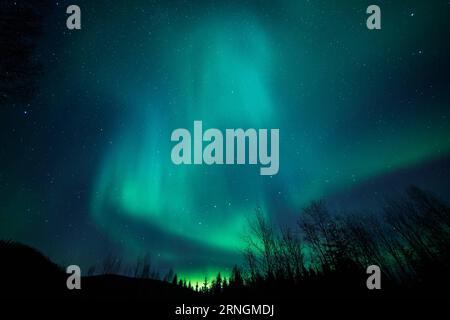 Nordlichter über Alaska (161005) -- ALASKA, 5. Oktober 2016 -- die Aurora Borealis oder Nordlichter beleuchten den Nachthimmel über dem Chena River State Recreation Area in der Nähe von Fairbanks, Alaska, USA, am 5. Oktober 2016. ) U.S.-ALASKA-AURORA LixChangxiang PUBLICATIONxNOTxINxCHN Nordlichter über Alaska Alaska OCT 5 2016 die Aurora Borealis oder Nordlichter beleuchten den Nachthimmel über dem Chena River State Recreation Area bei Fairbanks Alaska den Vereinigten Staaten AM OCT 5 2016 US Alaska Aurora LixChangxiang PUBLICATIONxNOTxINxCHN Stockfoto