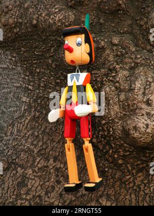 Bunte Holzpuppe von Pinocchio Stockfoto