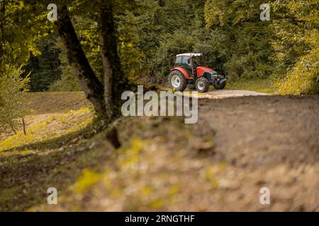 Roter Traktor nähert sich der Kamera auf einer kleinen Schotterstraße im Wald und bewegt sich um enge Kurven und Kurven. Waldernte mit Traktor. Stockfoto