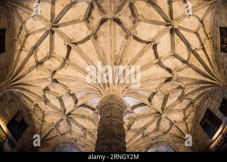 Mosteiro dos Jeronimos 16. Jahrhundert Manuelinische Gewölbedecke Lissabon Portugal / BELÉM, Lissabon, Portugal — die Gewölbedecke von Manuelinik des Klosters Jerónimos zeigt die virtuose Steinschnitzerei, die diesen Komplex zum wichtigsten Denkmal seines Stils macht, mit Rippen, die von schlanken achteckigen Pfeilern aus warmem goldenem Kalkstein aufgefächert werden. Der Bau begann 1501–1502 unter dem Architekten Diogo de Boitaca, einem der Urheber der Manuelinie, und wurde etwa ein Jahrhundert lang fortgesetzt, als João de Castilho und spätere Meister Renaissance- und platereske Einbauten hinzufügten. Gegründet von König Manuel I. Stockfoto