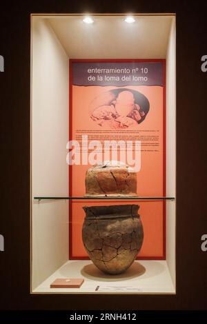 Ceramic reston, Begräbnis auf dem loma del lomo in einer beleuchteten Vitrine des Provinzmuseums, Palast des infantado, Stadt Guadalajara. Stockfoto