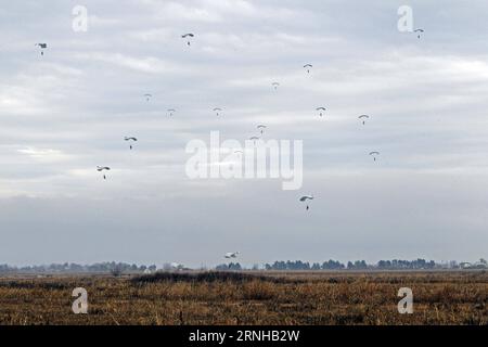 BELGRAD, 7. November 2016 -- russische Soldaten Fallschirmspringen aus einem Flugzeug während der gemeinsamen russischen, belarussischen und serbischen Militärübung der Slawischen Bruderschaft 2016 am Militärflughafen Kovin, Serbien am 7. November 2016. Russland, Belarus und Serbien beginnen am Montag eine gemeinsame internationale Militärübung unter dem Namen Slavic Brotherhood 2016 . Die Übung wird bis zum 9. November dauern. ) SERBIEN-KOVIN-SLAVIC BROTHERHOOD-MILITARY DRILL PredragxMilosavljevic PUBLICATIONxNOTxINxCHN Belgrad 7. November 2016 russische Militärangehörige Fallschirmjäger aus einem Flugzeug während der gemeinsamen russischen belarussischen und serbischen MILITÄRÜBUNG der Stockfoto