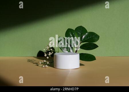 Minimales Modell-Kosmetikprodukt mit Blumen und grünen Blättern, grünem und gelbem Hintergrund Stockfoto