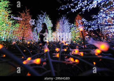 (161117) -- SINGAPUR, 17. November 2016 -- Ein Journalist besucht Lichtinstallationen während einer Medienvorschau von Santa s All-Star Christmas in einer festlichen Lichtshow im Rahmen seiner Weihnachtsfeier in den Universal Studios Singapore (USS), 17. November 2016. )(yk) SINGAPORE-USS-CHRISTMAS-BIRNE ThenxChihxWey PUBLICATIONxNOTxINxCHN Singapur 17. November 2016 ein Journalist besucht Lichtinstallationen während einer Medienvorschau von Santa S All Star Christmas in einer festlichen Lichtshow als Teil seiner Weihnachtsfeier in den Universal Studios Singapur USS 17. November 2016 YK Singapore USS Christmas Birb ThenxChihx Stockfoto