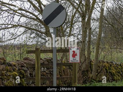 Straßenschild warnt vor roten Eichhörnchen und fordert Fahrzeuge auf, zu verlangsamen, um sie sicher zu halten Stockfoto