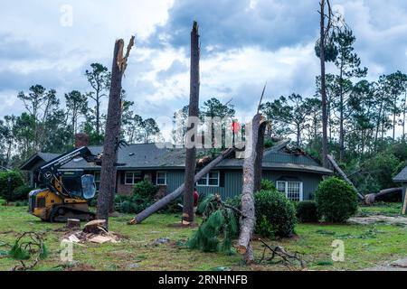 Perry, Usa. September 2023. FEMA-Mitarbeiter helfen bei der Beseitigung von umgestürzten Bäumen aus einem Haus nach dem Hurrikan Idalia, 1. September 2023 in Perry, Florida. Die kleine Stadt von 7.000 wurde vom Hurrikan Idalia zerschreddert Bäume und zerstörte Häuser. Quelle: Steve Zumwalt/FEMA/Alamy Live News Stockfoto