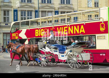 Wien, Österreich - 28. August 2023: Pferdekutsche und Bus sind zwei alternative Verkehrsmittel für eine Besichtigungstour in Wien Stockfoto