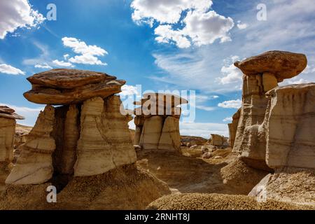 Das AH-Shi-SLE PAH Wilderness Study Area hat einige der besten Hoodoo-Formationen in den sanften, wassergeschnitzten Tonhügeln der New Mexico Badlands Stockfoto